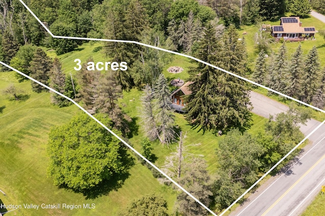 2064 County Highway 8, Denver, NY 12421 - view of subject property featuring property parcel outlined