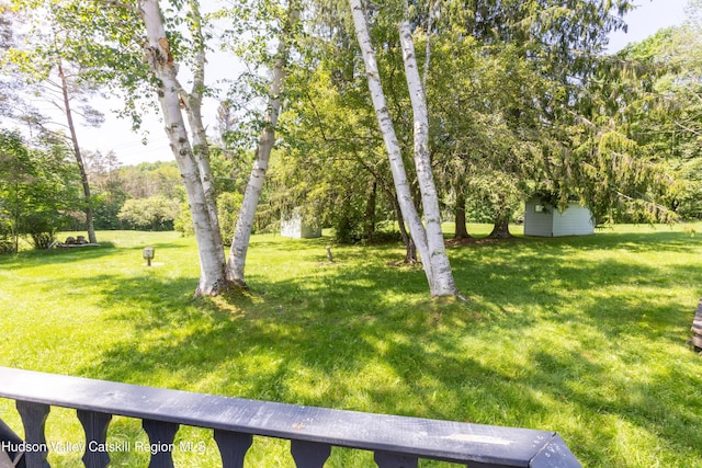 2064 County Highway 8, Denver, NY 12421 - view of green lawn