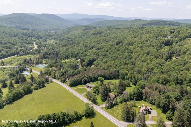 2064 County Highway 8, Denver, NY 12421 - aerial view of a forest and a mountain backdrop