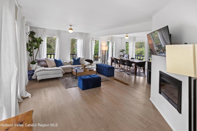 2064 County Highway 8, Denver, NY 12421 - living area with wood finished floors, healthy amount of natural light, a glass covered fireplace, and an AC wall unit