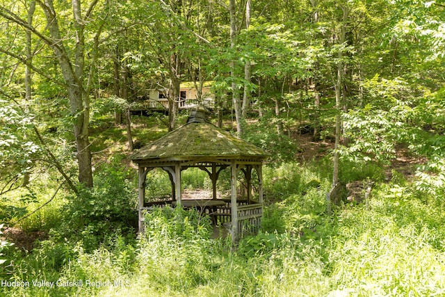 2064 County Highway 8, Denver, NY 12421 - view of home's community featuring a gazebo and a view of trees