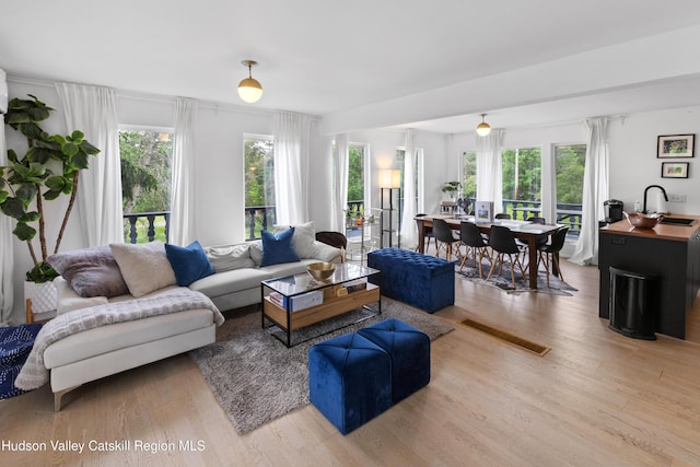 2064 County Highway 8, Denver, NY 12421 - living room featuring healthy amount of natural light and wood finished floors