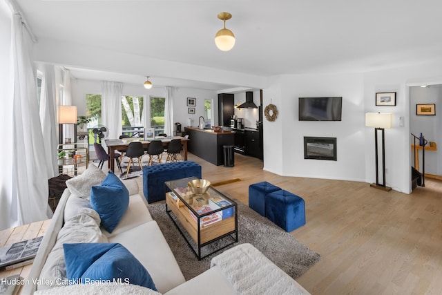 2064 County Highway 8, Denver, NY 12421 - living area featuring light wood finished floors and a glass covered fireplace
