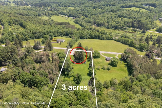 2064 County Highway 8, Denver, NY 12421 - view of rural area featuring a heavily wooded area and property parcel outlined