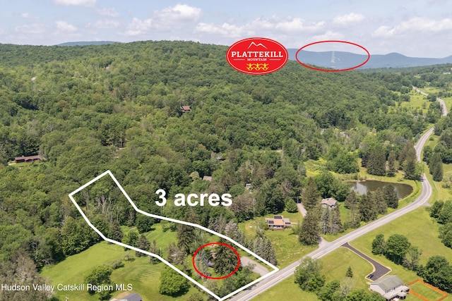 2064 County Highway 8, Denver, NY 12421 - aerial view of property's location featuring a heavily wooded area and property boundaries highlighted