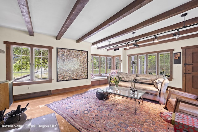 253 Upper Byrdcliffe Rd, Woodstock, NY 12498 - living room featuring light wood-type flooring, plenty of natural light, beamed ceiling, and baseboards