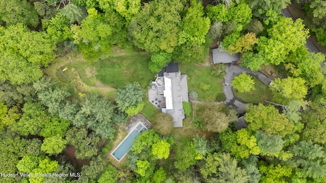 253 Upper Byrdcliffe Rd, Woodstock, NY 12498 - drone / aerial view