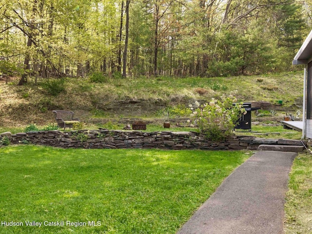 236 Spillway Rd, West Hurley, NY 12491 - view of grassy yard featuring a forest view