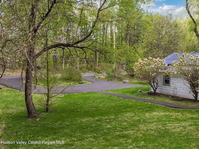 236 Spillway Rd, West Hurley, NY 12491 - view of green lawn