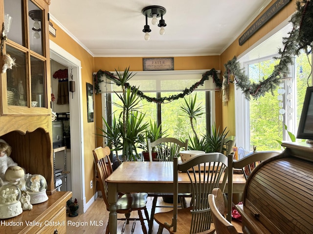 70 Blue Mountain Rd, Saugerties, NY 12477 - photo 4
