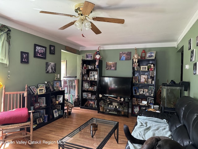 70 Blue Mountain Rd, Saugerties, NY 12477 - photo 6