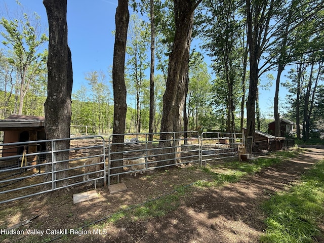 70 Blue Mountain Rd, Saugerties, NY 12477 - photo 14