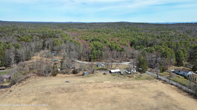 97 John Joy Rd, Woodstock, NY 12498 - photo 49