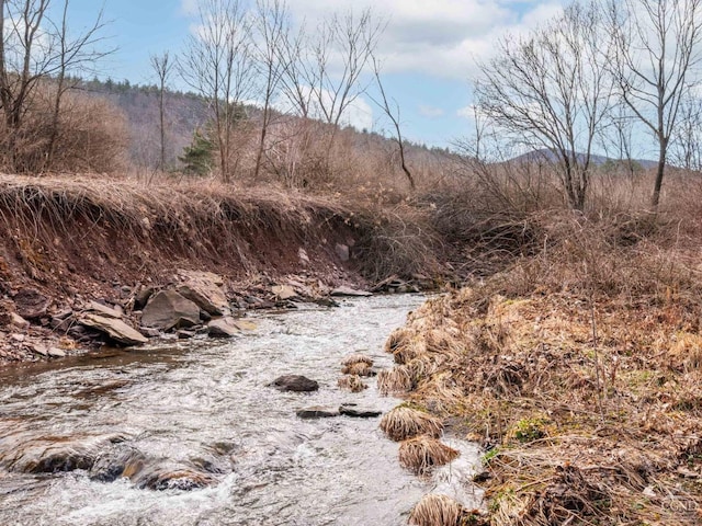 view of local wilderness