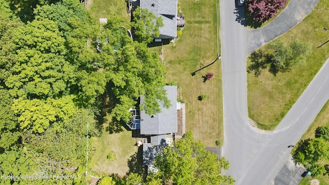 1 Huguenot Rd, Tillson, NY 12486 - aerial view