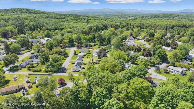 1 Huguenot Rd, Tillson, NY 12486 - bird's eye view of a forest and a mountain backdrop