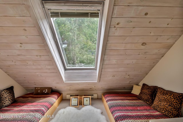 122 Brainard Ridge Rd Unit 14F, Windham, NY 12496 - carpeted bedroom featuring a skylight and a baseboard radiator
