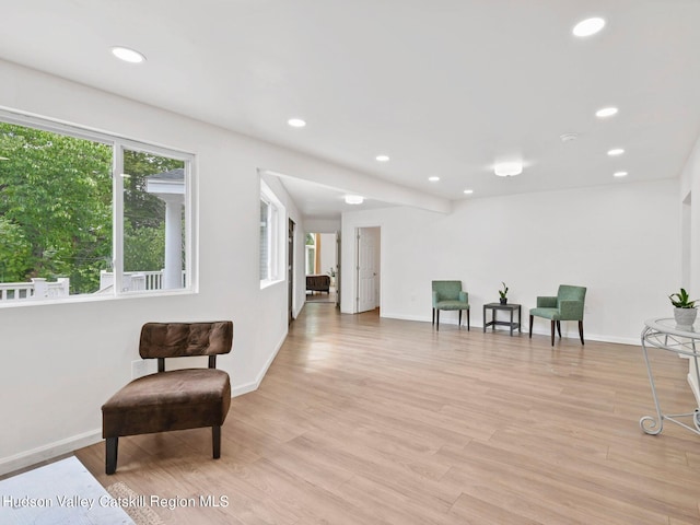 sitting room featuring light hardwood / wood-style flooring