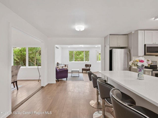 kitchen featuring gray cabinetry, light hardwood / wood-style floors, and appliances with stainless steel finishes