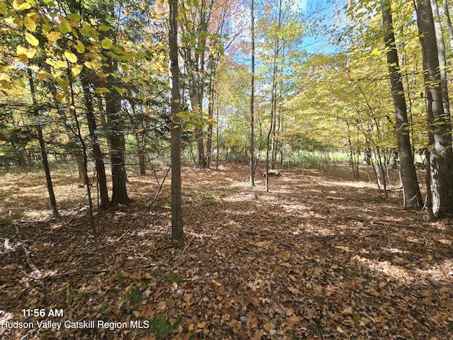 0 Circle Rd, Windham, NY 12496
