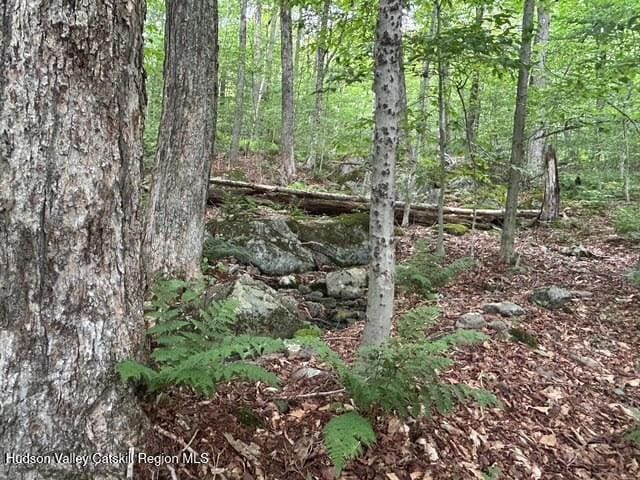 TBD Frost Valley Rd, Claryville, NY 12725 - photo 2