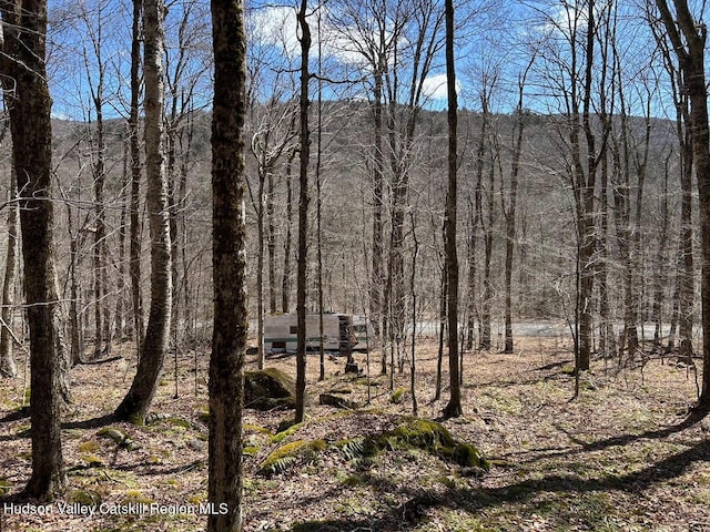 TBD Frost Valley Rd, Claryville, NY 12725 - photo 1