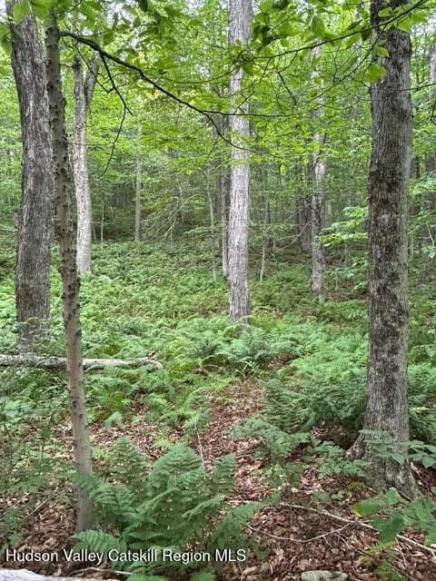 TBD Frost Valley Rd, Claryville, NY 12725 - photo 6