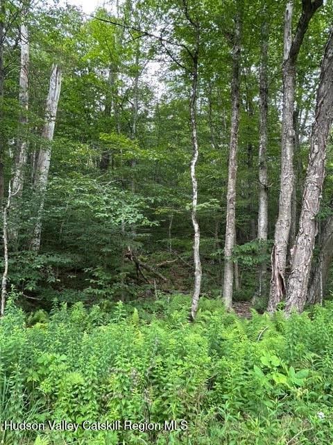 TBD Frost Valley Rd, Claryville, NY 12725 - photo 3