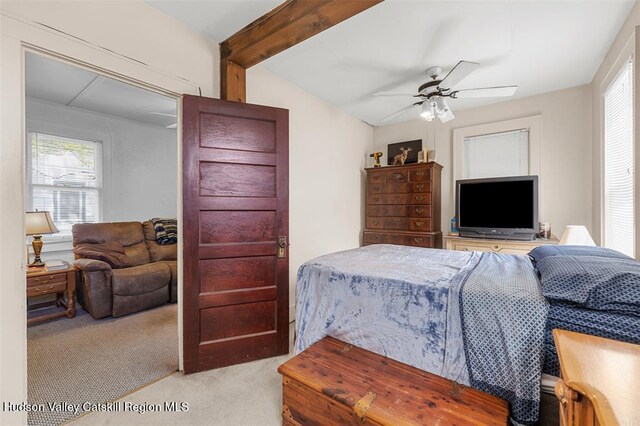 262-268 Patterson Ln, Saugerties, NY 12477 - photo 28