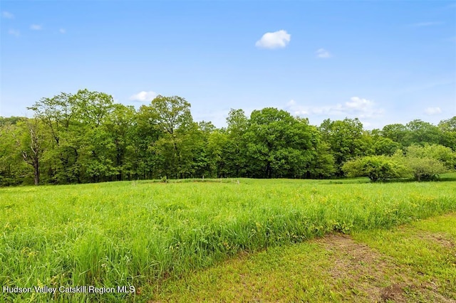 262-268 Patterson Ln, Saugerties, NY 12477 - photo 31