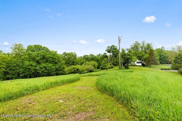 262-268 Patterson Ln, Saugerties, NY 12477 - photo 32