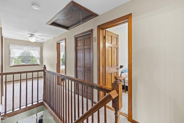 149 River Rd, New Paltz, NY 12561 - photo 15