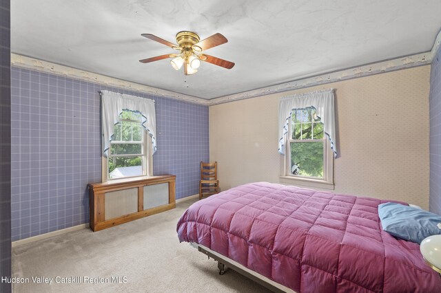 149 River Rd, New Paltz, NY 12561 - photo 22
