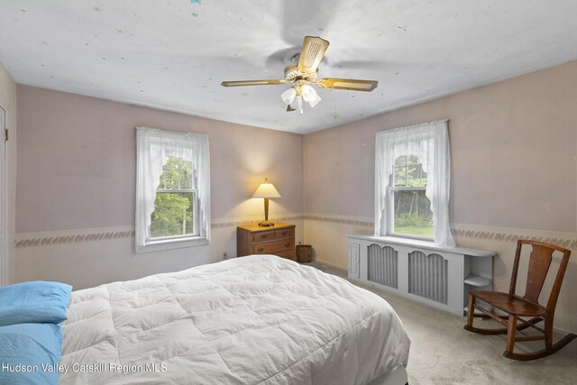 149 River Rd, New Paltz, NY 12561 - photo 16
