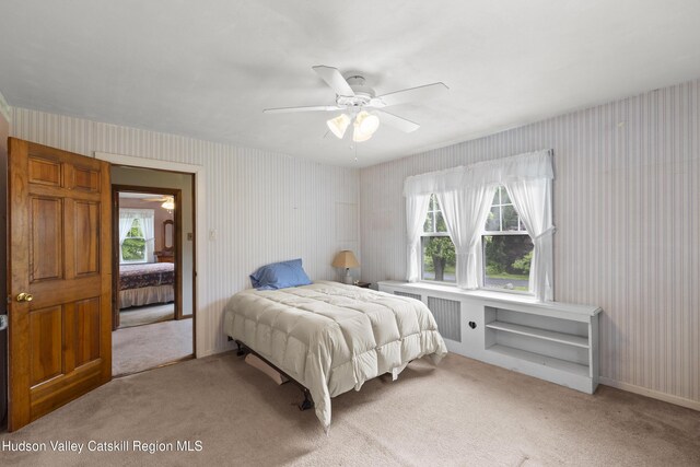 149 River Rd, New Paltz, NY 12561 - photo 17