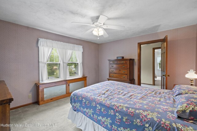 149 River Rd, New Paltz, NY 12561 - photo 19