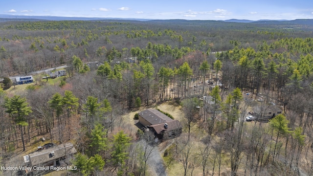 birds eye view of property featuring a wooded view