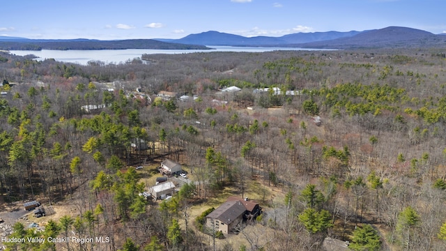 aerial view with a water and mountain view