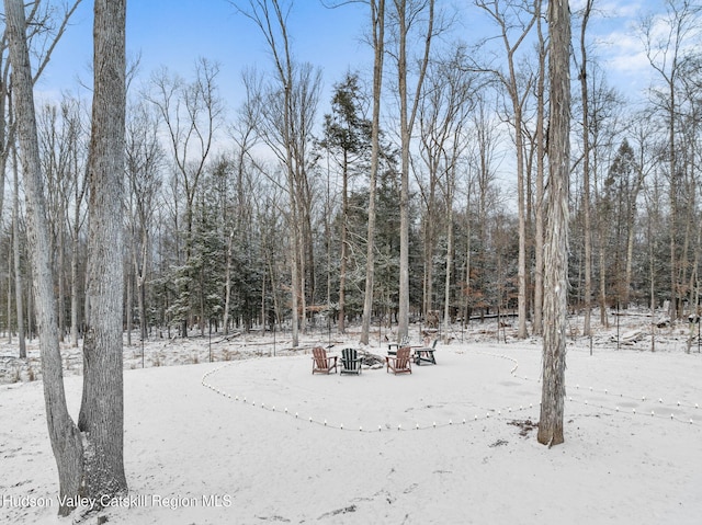 view of snowy yard