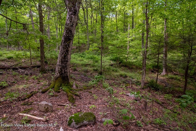 58 Cottage Ct, Esopus, NY 12429 - photo 4