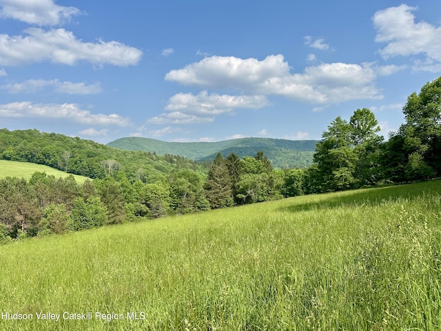 515 Delaware Ave, Andes, NY 13731 - mountain view with a heavily wooded area