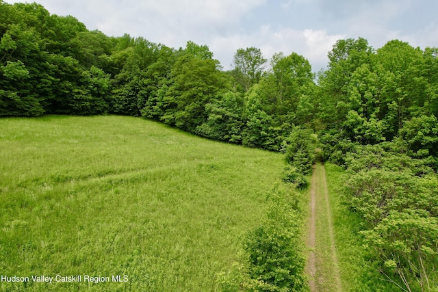 515 Delaware Ave, Andes, NY 13731 - view of yard