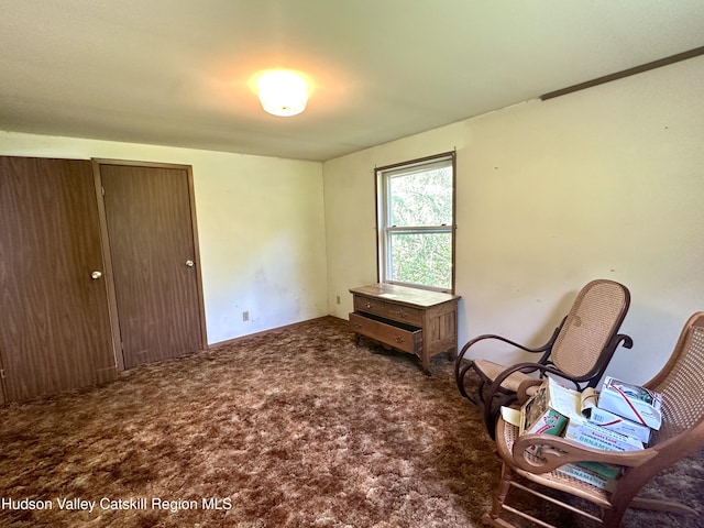 515 Delaware Ave, Andes, NY 13731 - sitting room with carpet flooring