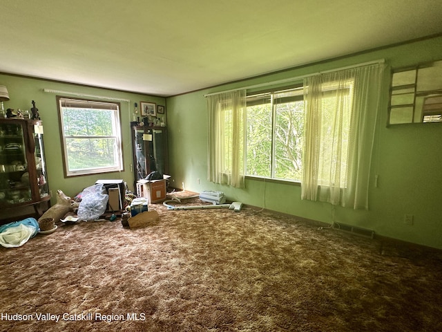515 Delaware Ave, Andes, NY 13731 - miscellaneous room with carpet flooring