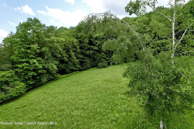 515 Delaware Ave, Andes, NY 13731 - view of grassy yard with a view of trees