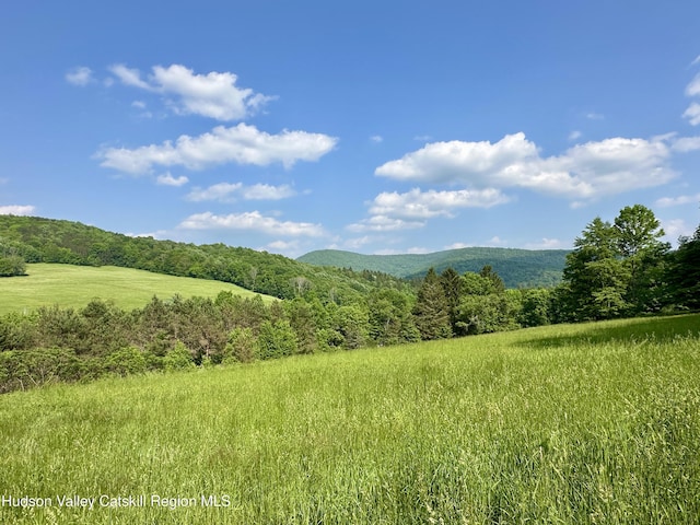 515 Delaware Ave, Andes, NY 13731 - view of mountain backdrop with a forest