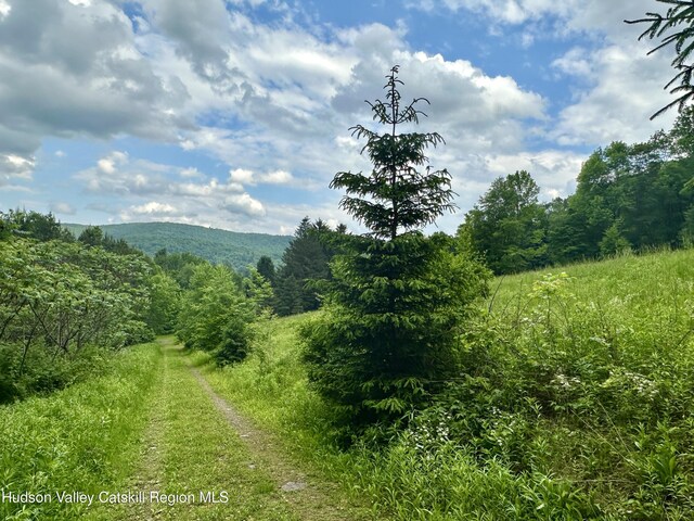 515 Delaware Ave, Andes, NY 13731 - mountain view featuring a heavily wooded area
