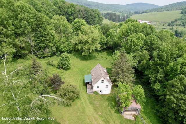515 Delaware Ave, Andes, NY 13731 - view of subject property with a forest and a mountain backdrop