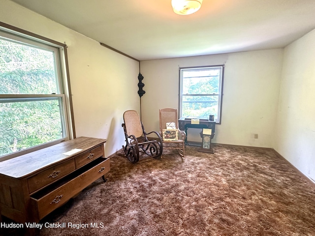 515 Delaware Ave, Andes, NY 13731 - sitting room featuring carpet