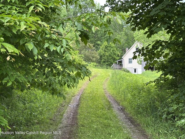 515 Delaware Ave, Andes, NY 13731 - view of yard